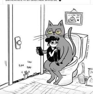 Meet your Posher, Gillian